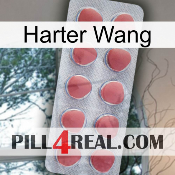 Hard Wang 18